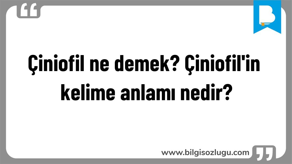 Çiniofil ne demek? Çiniofil'in kelime anlamı nedir?
