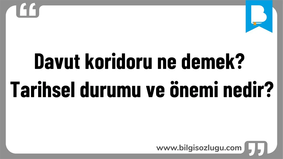 Davut koridoru ne demek? Tarihsel durumu ve önemi nedir?