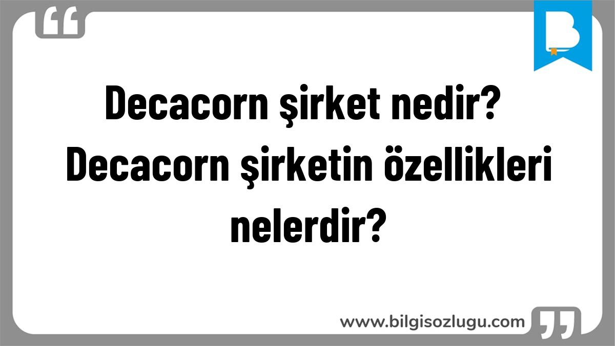 Decacorn şirket nedir? Decacorn şirketin özellikleri nelerdir?