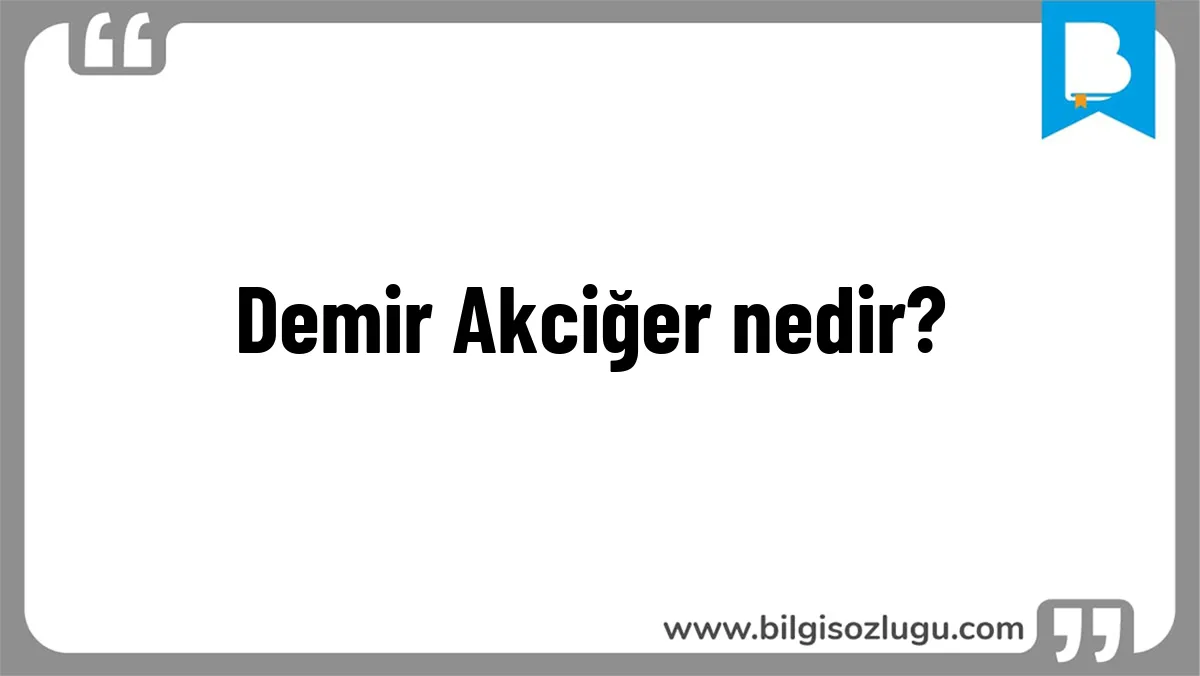 Demir Akciğer nedir?