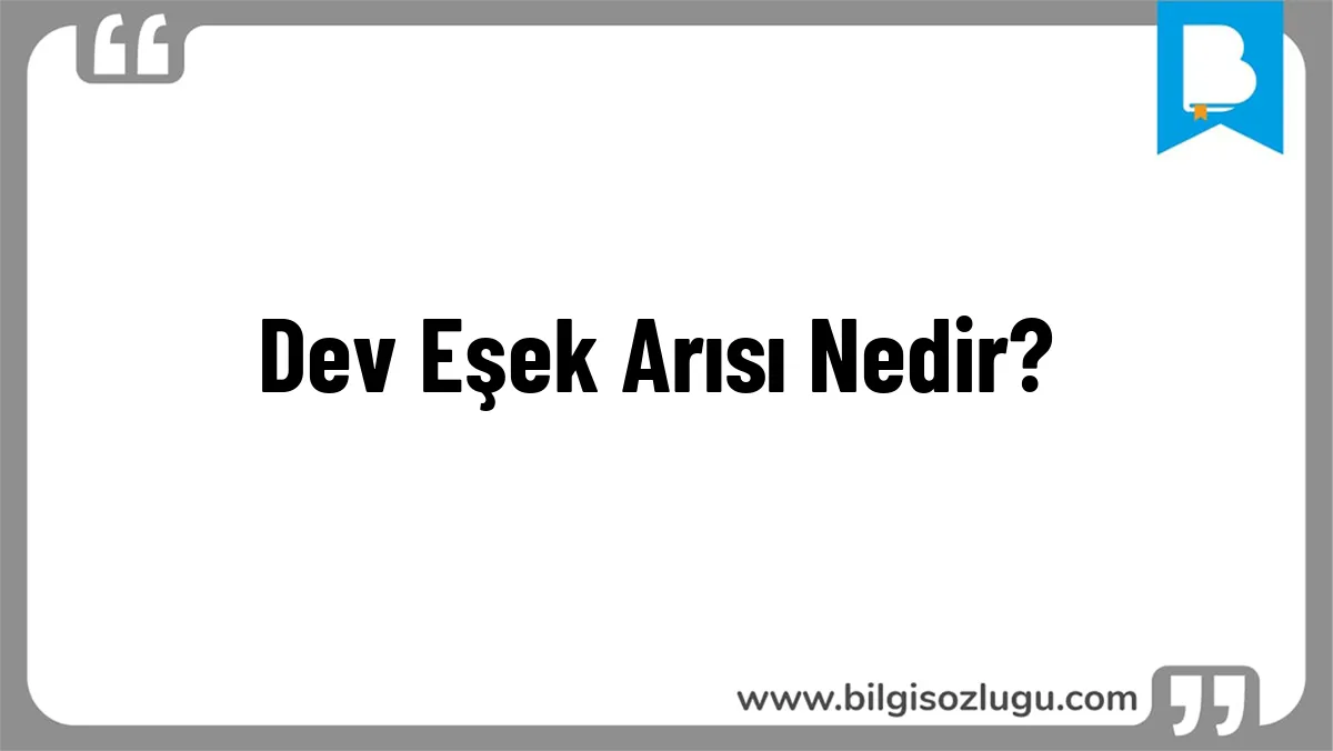 Dev Eşek Arısı Nedir?