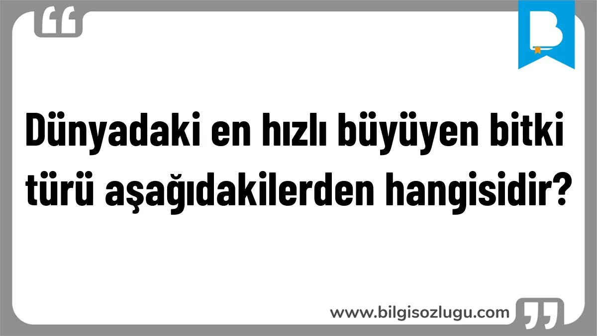 Dünyadaki en hızlı büyüyen bitki türü aşağıdakilerden hangisidir?