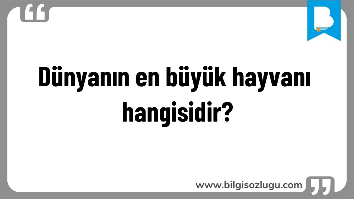 Dünyanın en büyük hayvanı hangisidir?