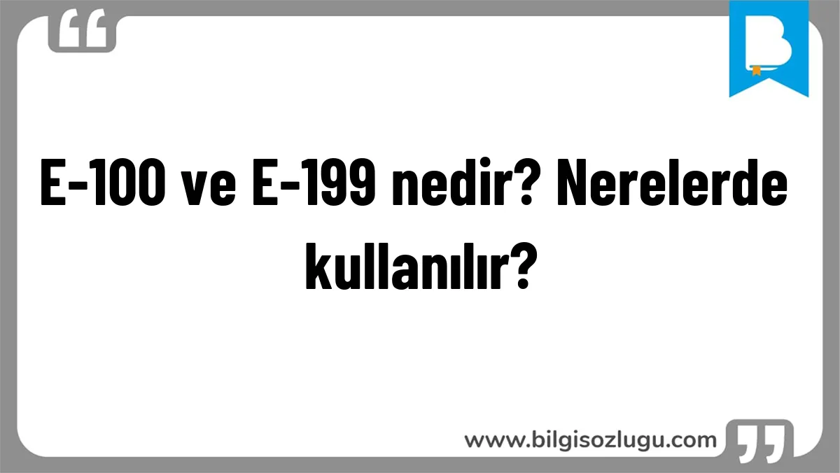 E-100 ve E-199 nedir? Nerelerde kullanılır?