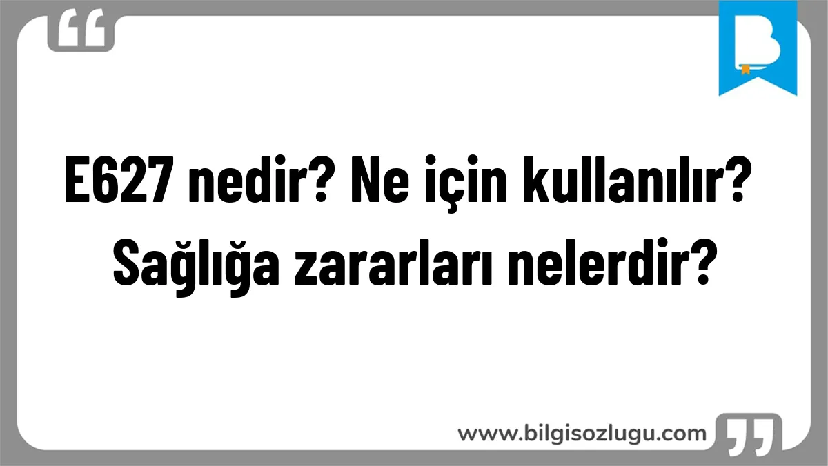 E627 nedir? Ne için kullanılır? Sağlığa zararları nelerdir?