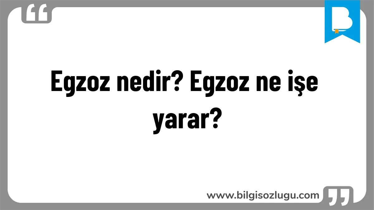 Egzoz nedir? Egzoz ne işe yarar?
