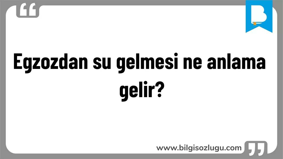 Egzozdan su gelmesi ne anlama gelir?
