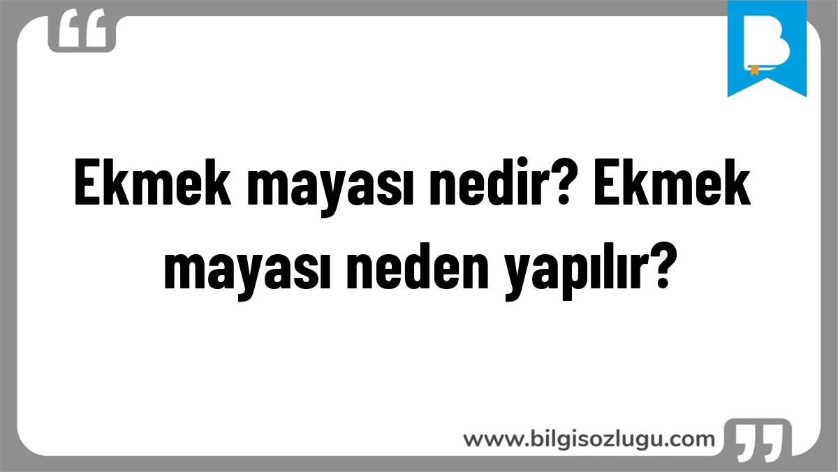 Ekmek mayası nedir? Ekmek mayası neden yapılır?
