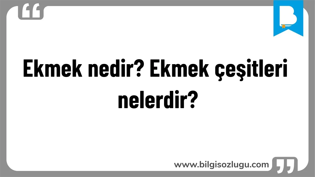 Ekmek nedir? Ekmek çeşitleri nelerdir?