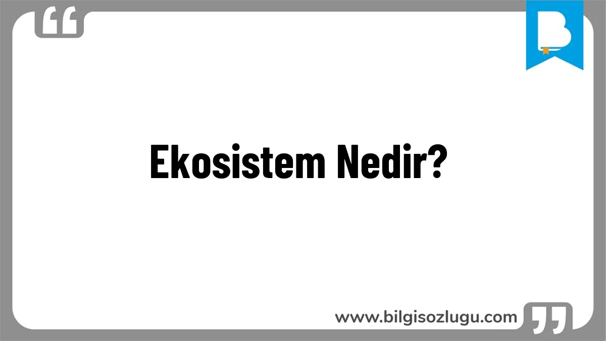Ekosistem Nedir?