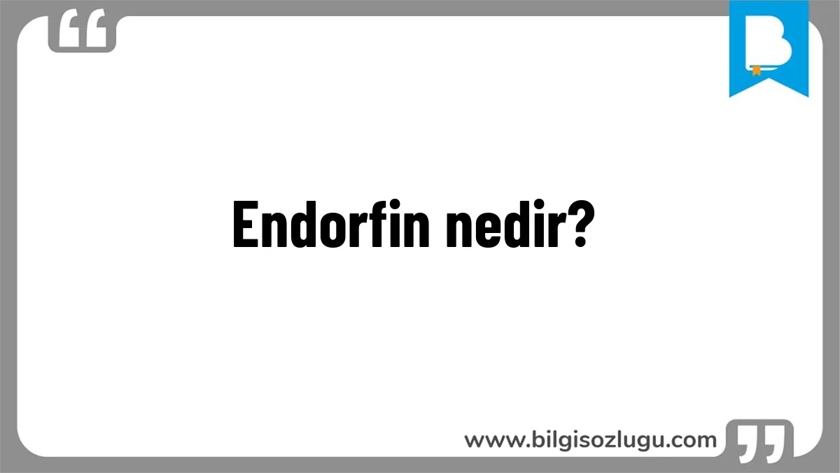 Endorfin nedir?