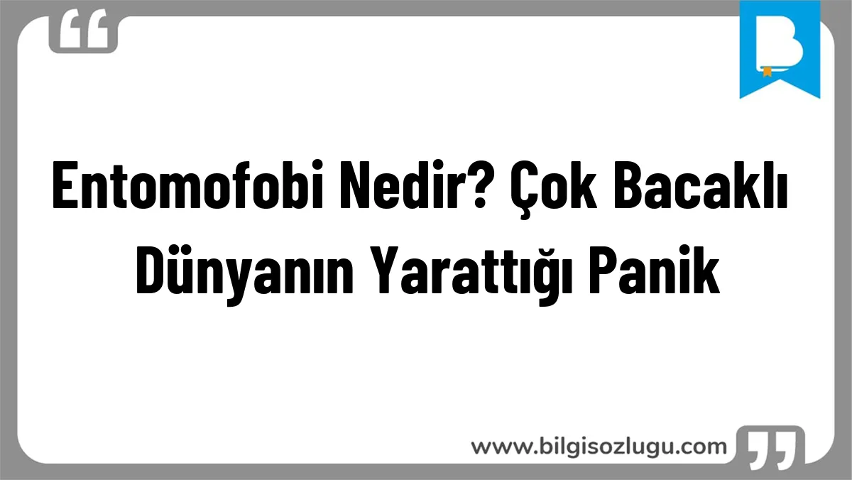 Entomofobi Nedir? Çok Bacaklı Dünyanın Yarattığı Panik