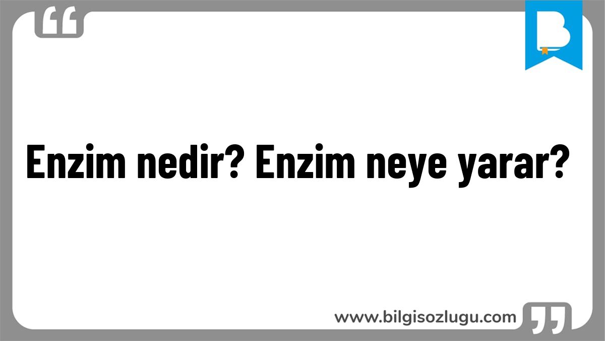 Enzim nedir? Enzim neye yarar?