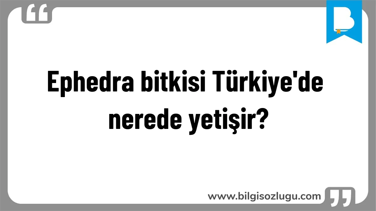 Ephedra bitkisi Türkiye'de nerede yetişir?