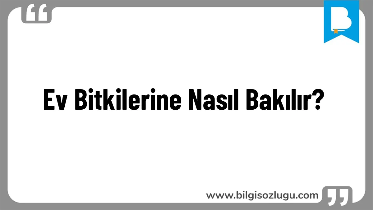 Ev Bitkilerine Nasıl Bakılır?