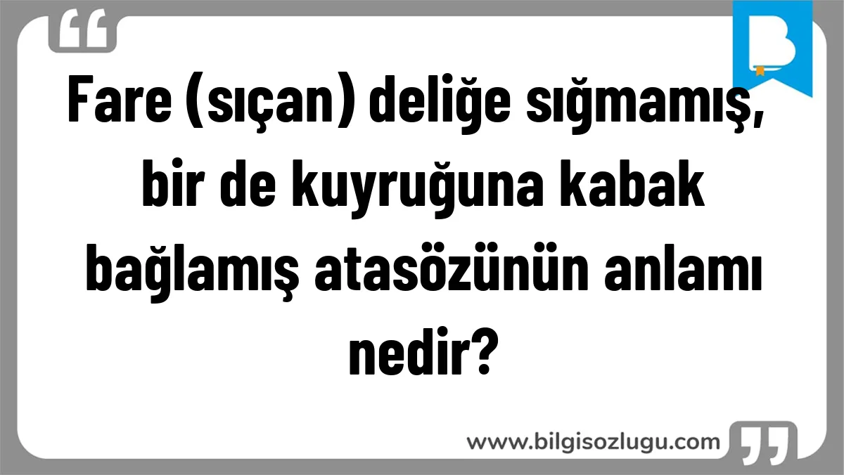 Fare (sıçan) deliğe sığmamış, bir de kuyruğuna kabak bağlamış atasözünün anlamı nedir?