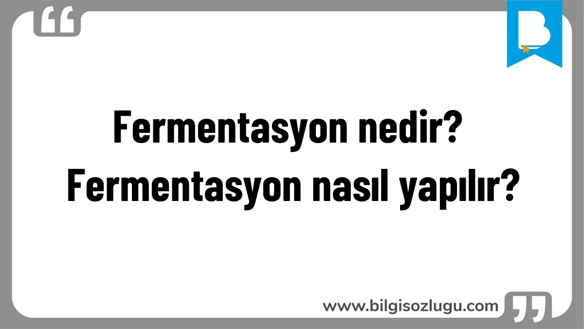 Fermentasyon nedir? Fermentasyon nasıl yapılır?
