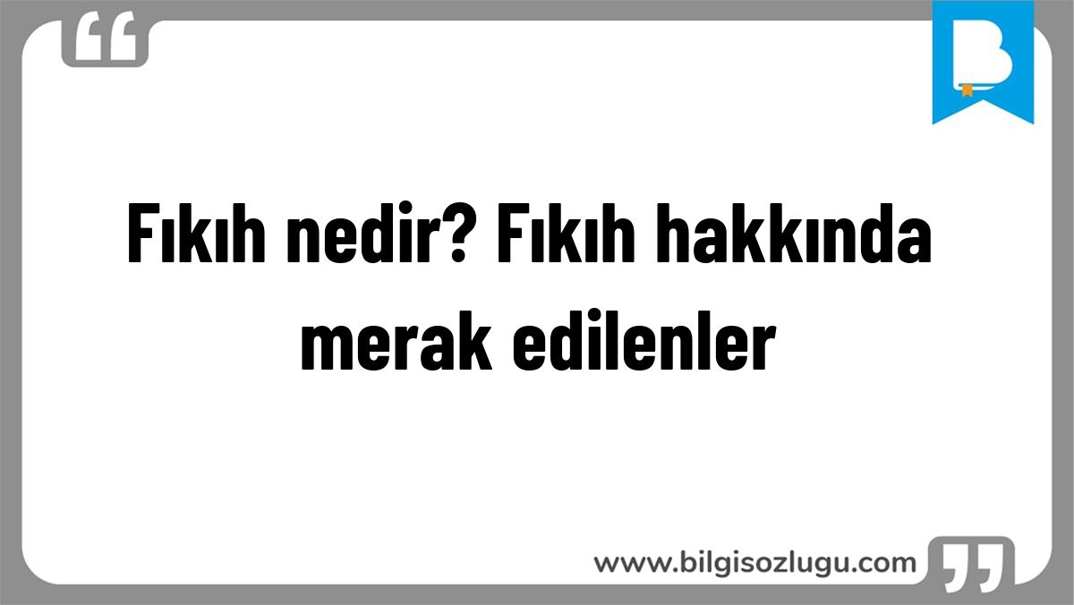 Fıkıh nedir? Fıkıh hakkında merak edilenler