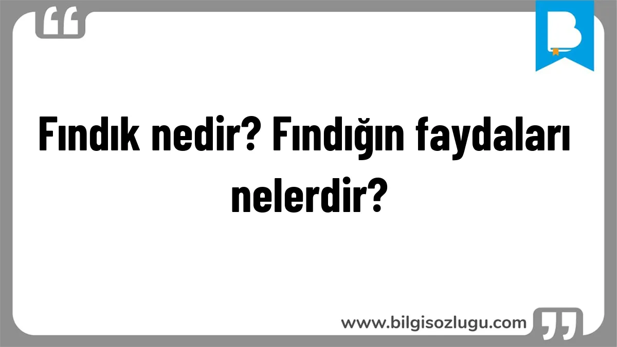 Fındık nedir? Fındığın faydaları nelerdir?