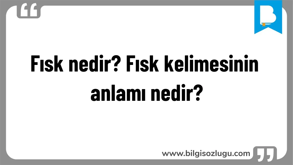 Fısk nedir? Fısk kelimesinin anlamı nedir?