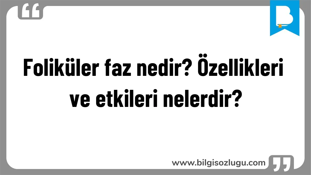 Foliküler faz nedir? Özellikleri ve etkileri nelerdir?