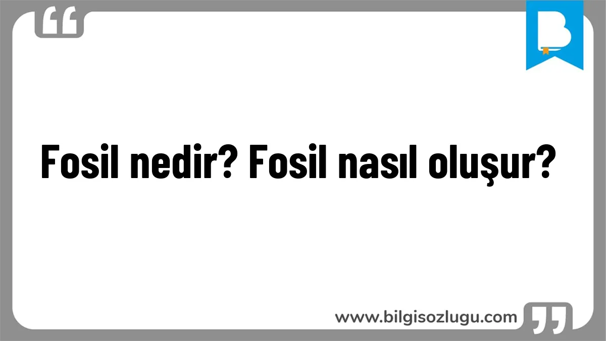 Fosil nedir? Fosil nasıl oluşur?