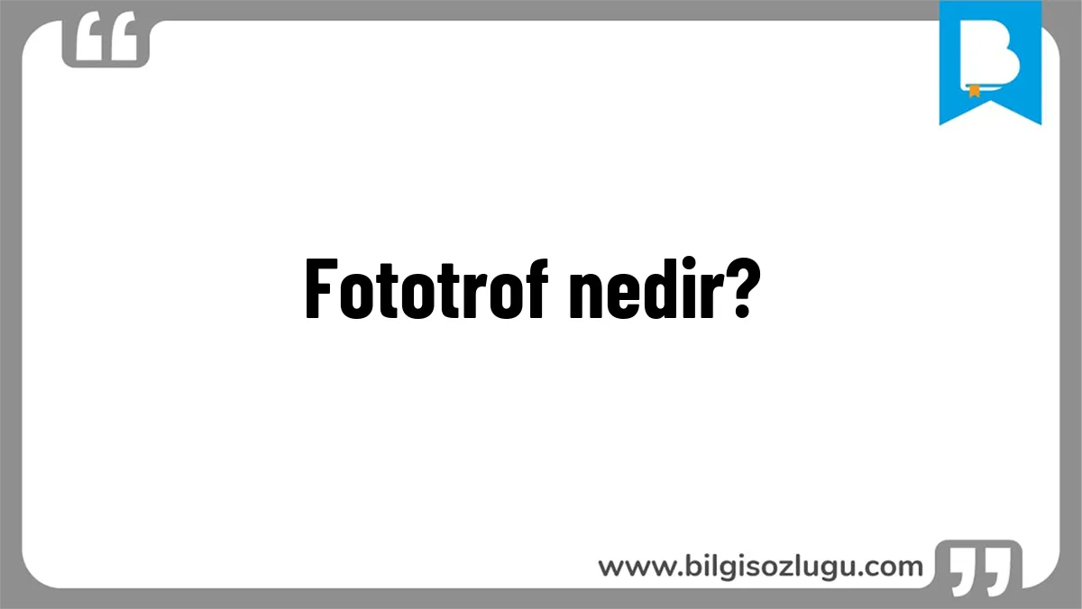 Fototrof nedir?