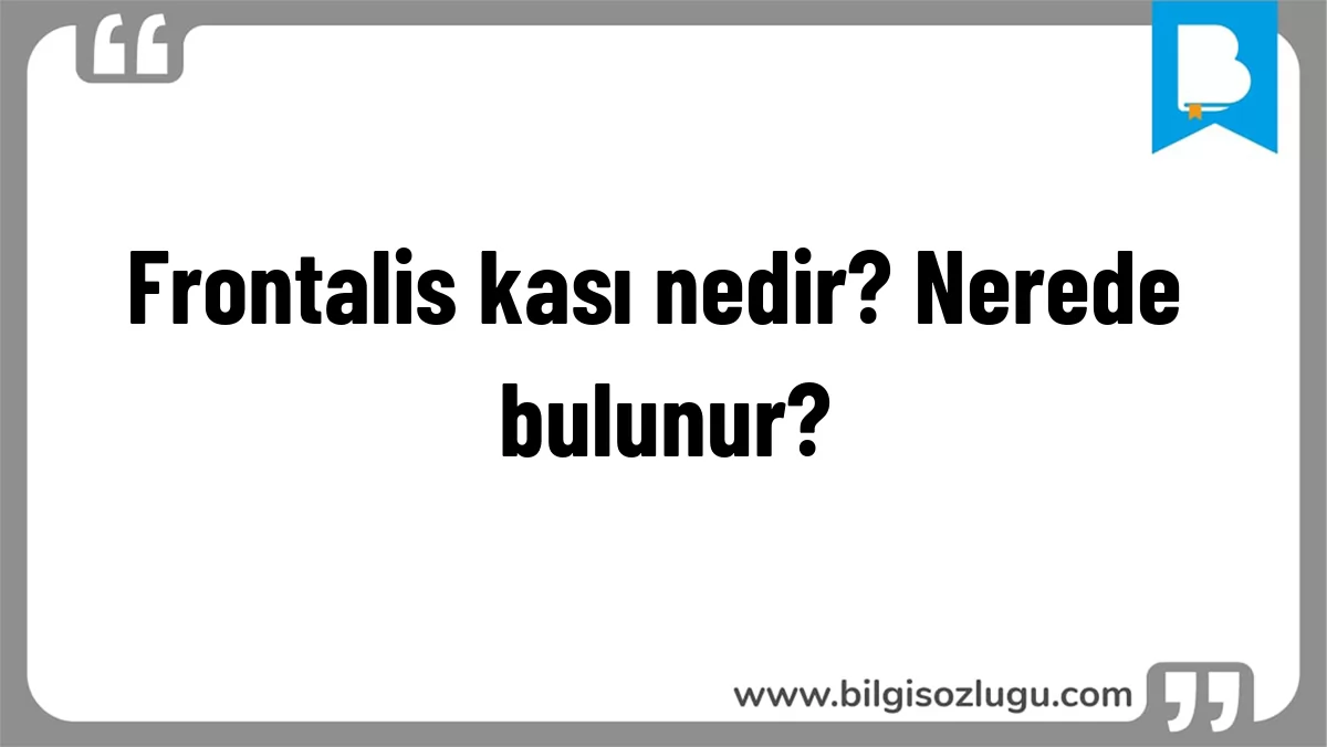 Frontalis kası nedir? Nerede bulunur?
