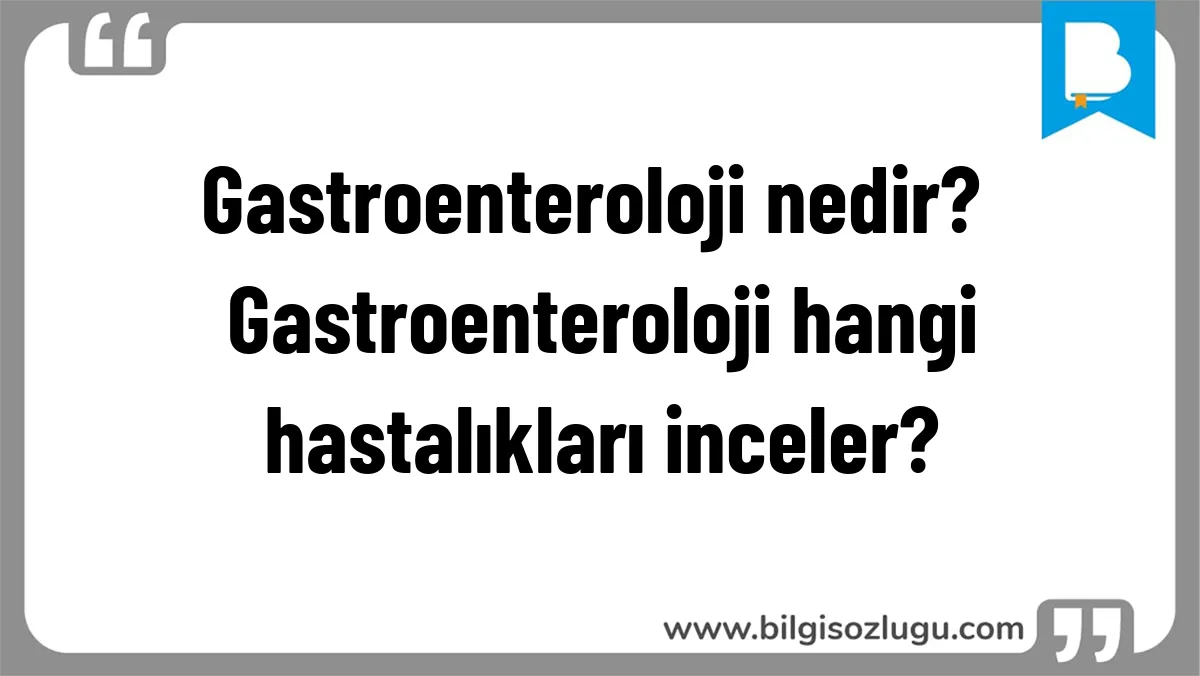 Gastroenteroloji nedir? Gastroenteroloji hangi hastalıkları inceler?