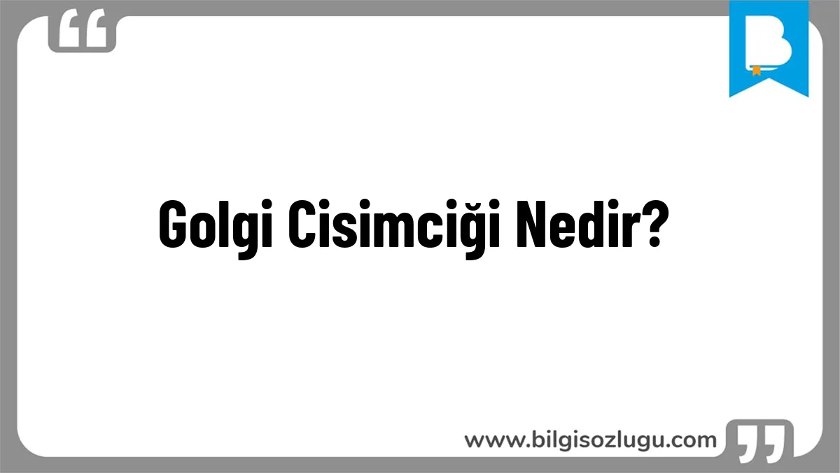 Golgi Cisimciği Nedir?