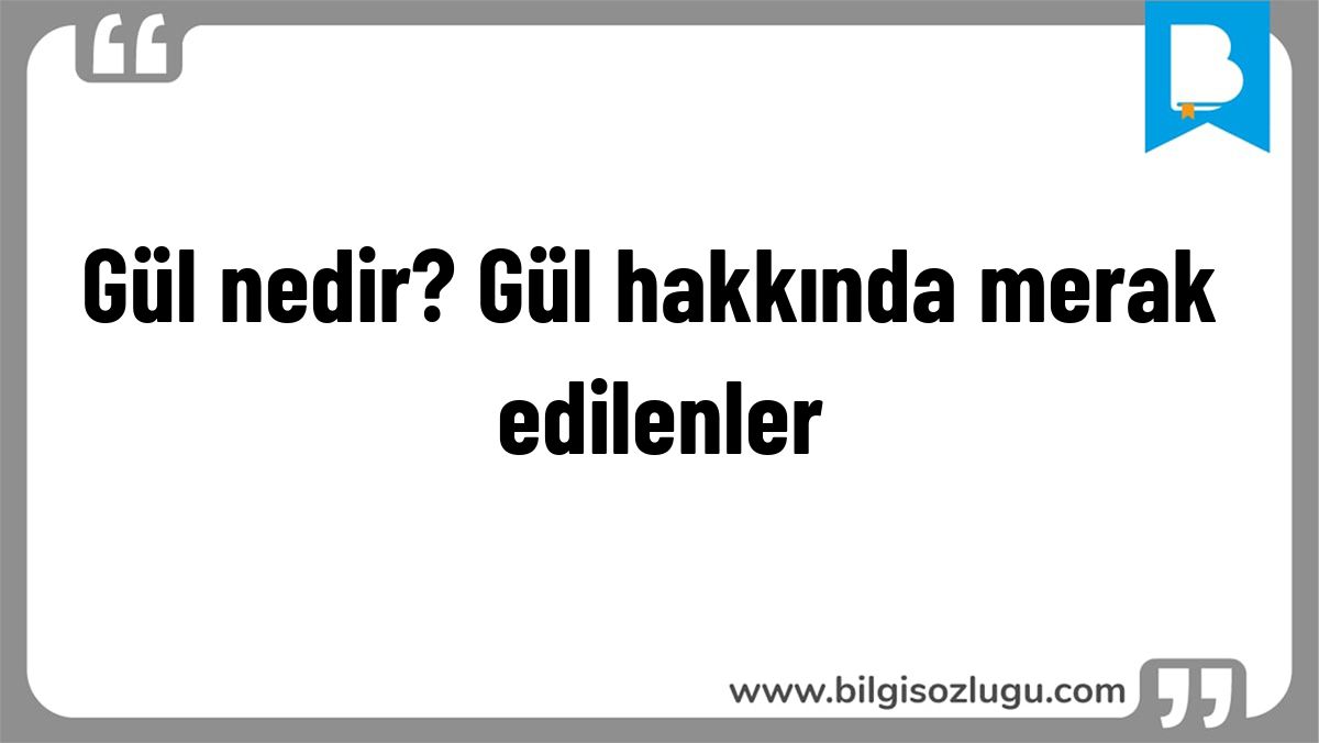 Gül nedir? Gül hakkında merak edilenler