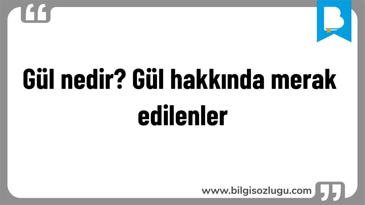 Gül nedir? Gül hakkında merak edilenler