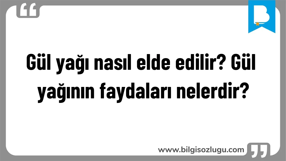 Gül yağı nasıl elde edilir? Gül yağının faydaları nelerdir?