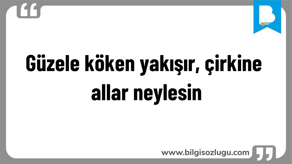 Güzele köken yakışır, çirkine allar neylesin