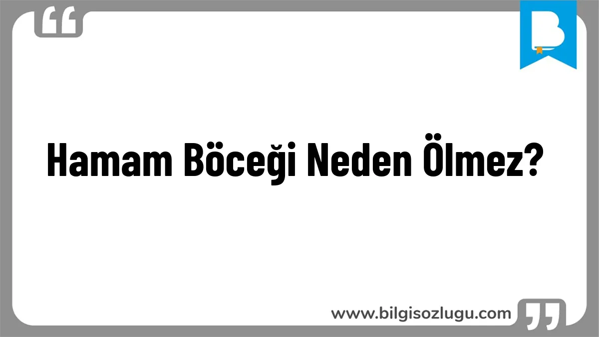 Hamam Böceği Neden Ölmez?