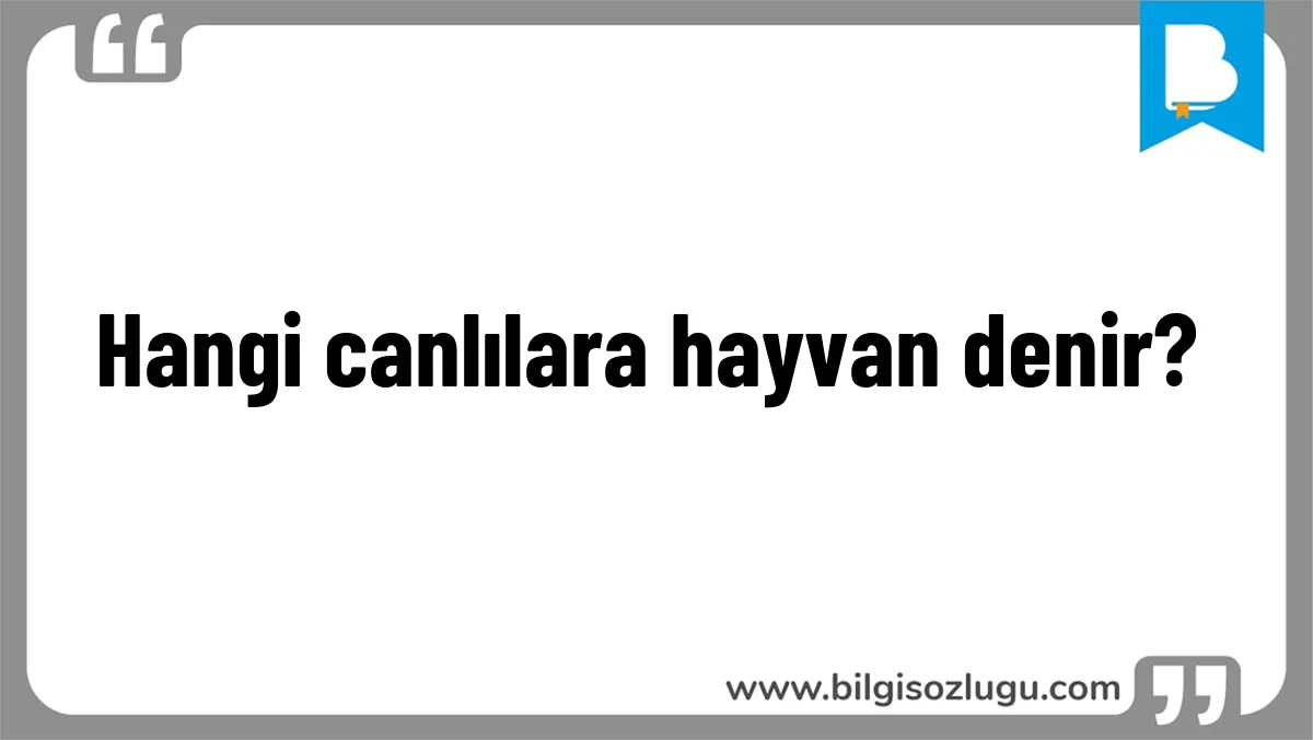 Hangi canlılara hayvan denir?