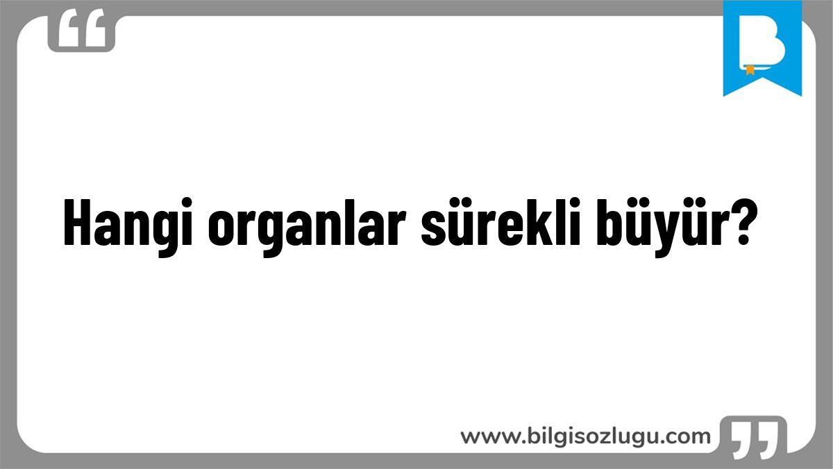 Hangi organlar sürekli büyür?