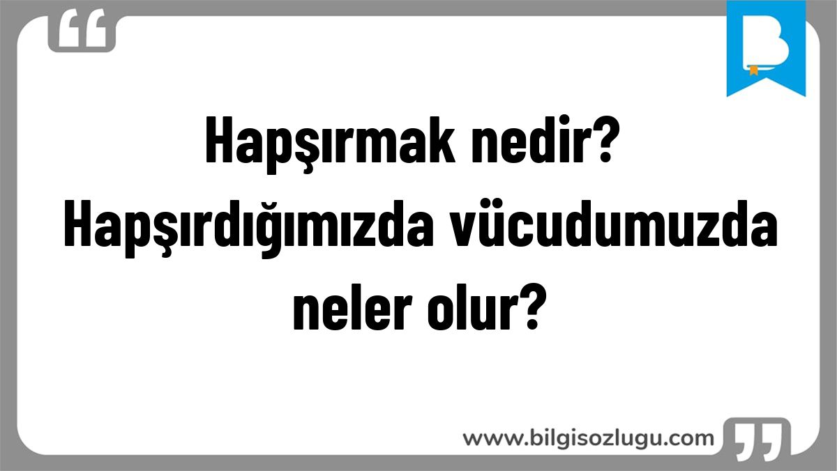 Hapşırmak nedir? Hapşırdığımızda vücudumuzda neler olur?