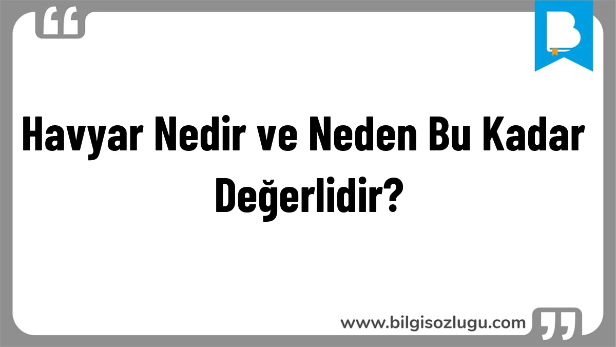 Havyar Nedir ve Neden Bu Kadar Değerlidir?