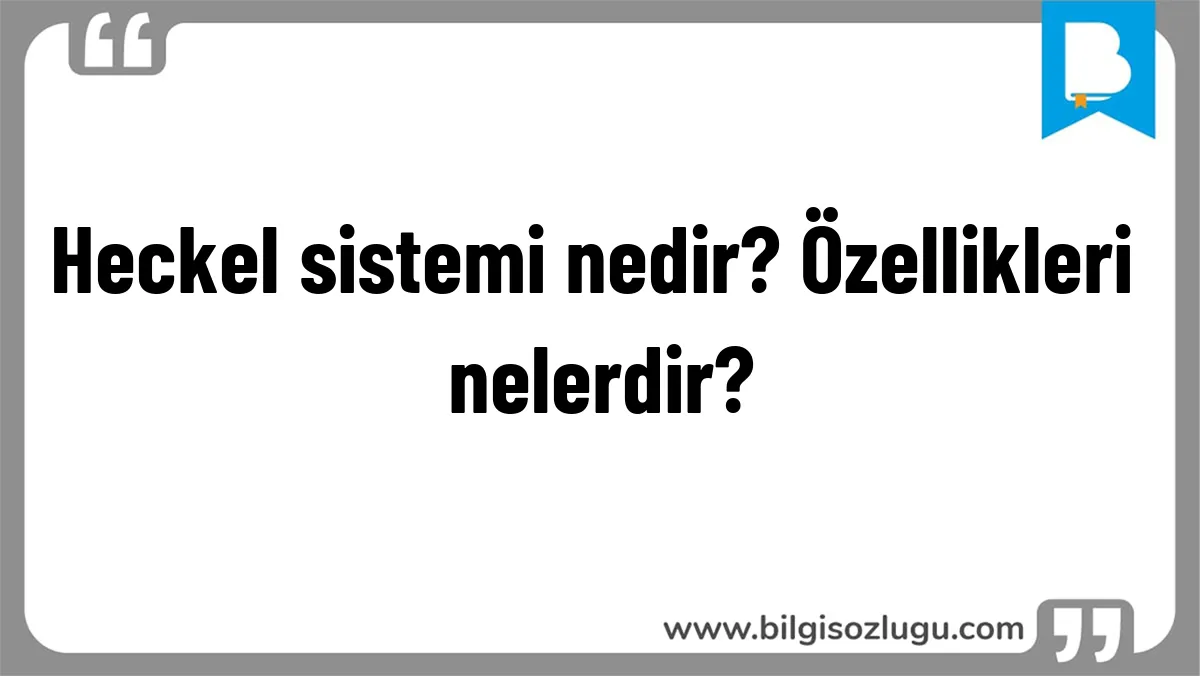 Heckel sistemi nedir? Özellikleri nelerdir?