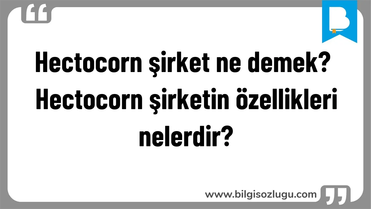 Hectocorn şirket ne demek? Hectocorn şirketin özellikleri nelerdir?