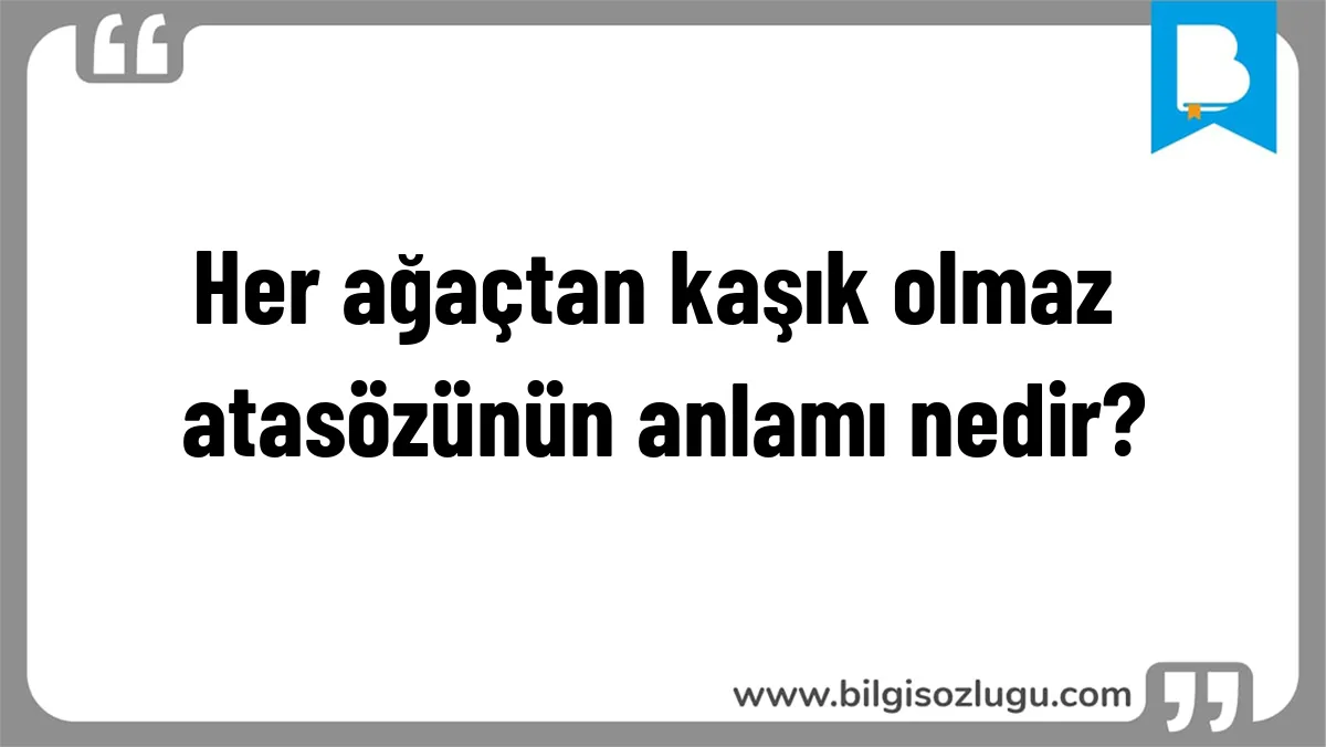 Her ağaçtan kaşık olmaz atasözünün anlamı nedir?