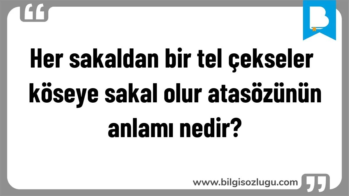 Her sakaldan bir tel çekseler köseye sakal olur atasözünün anlamı nedir?
