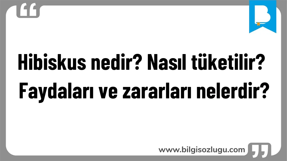Hibiskus nedir? Nasıl tüketilir? Faydaları ve zararları nelerdir?