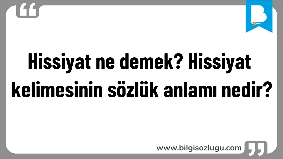 Hissiyat ne demek? Hissiyat kelimesinin sözlük anlamı nedir?