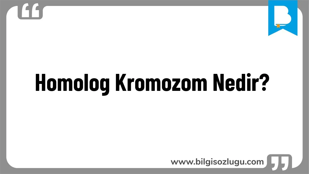 Homolog Kromozom Nedir?