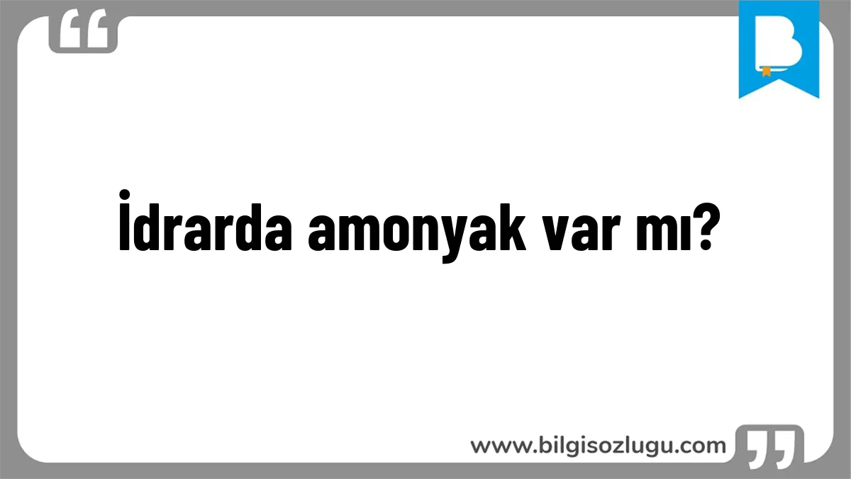 İdrarda amonyak var mı?