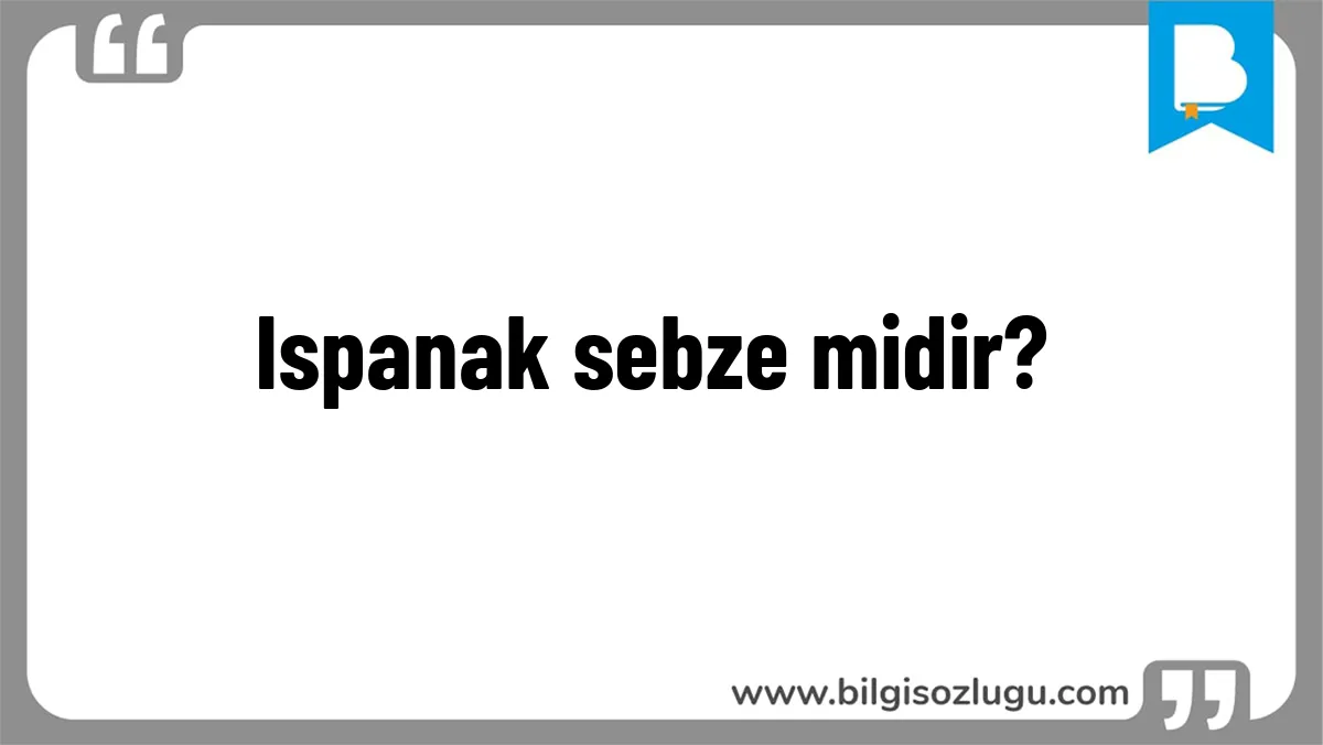 Ispanak sebze midir?