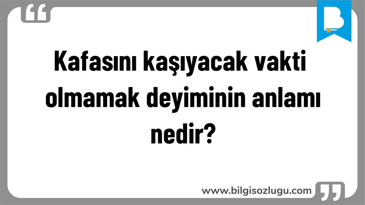 Kafasını kaşıyacak vakti olmamak deyiminin anlamı nedir?