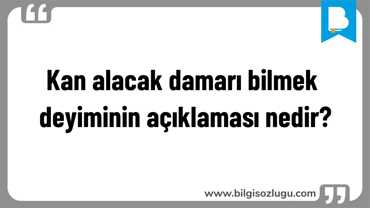 Kan alacak damarı bilmek deyiminin açıklaması nedir?